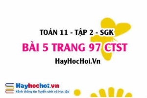 Bài 5 trang 97 Toán 11 tập 2 Chân trời sáng tạo